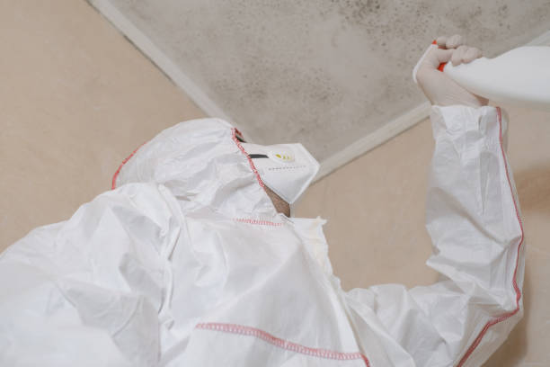 Best Localized Mold Remediation (e.g., coastal areas, humid climates) in Damascus, OR